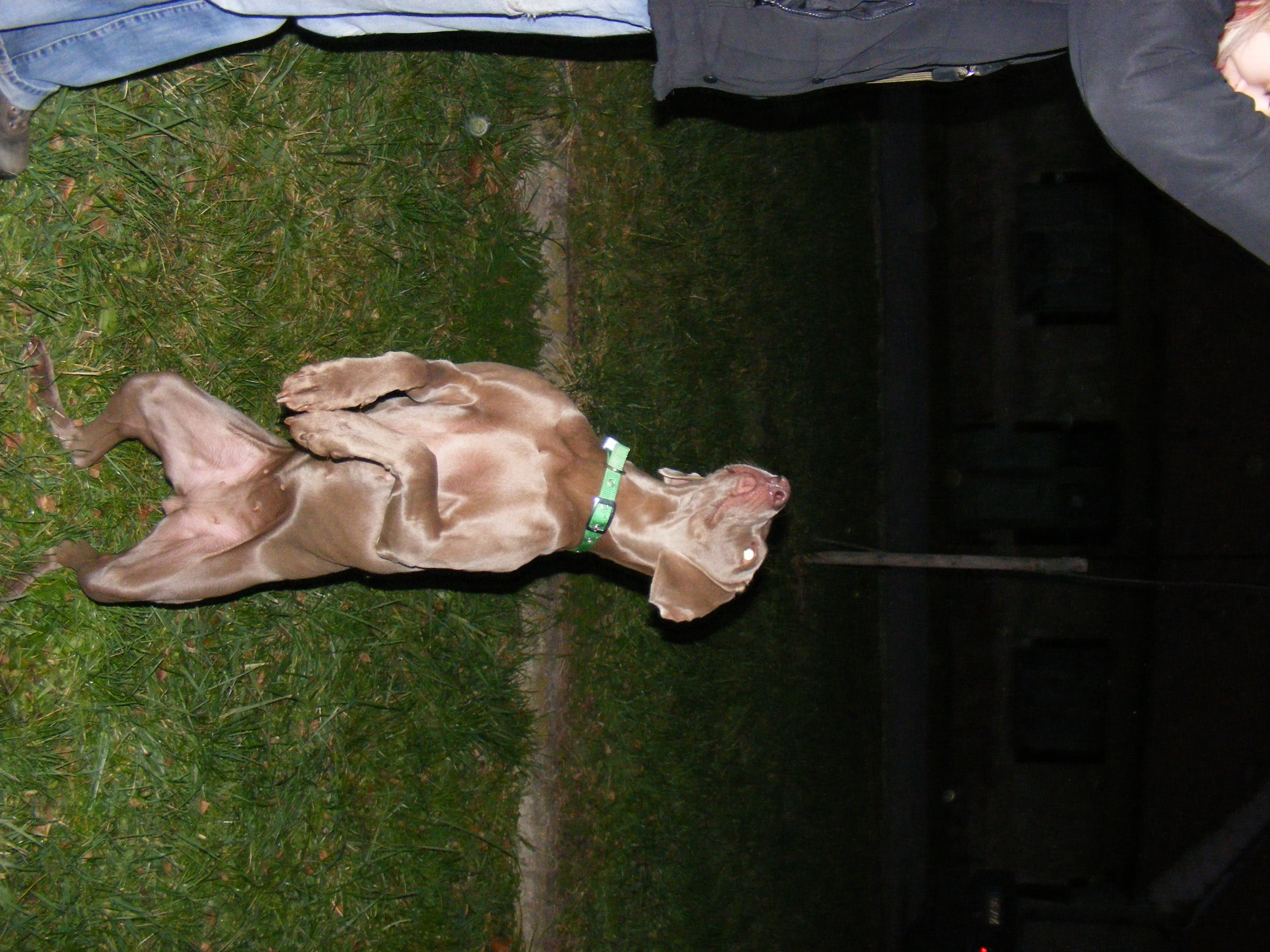DSCF5163.JPG